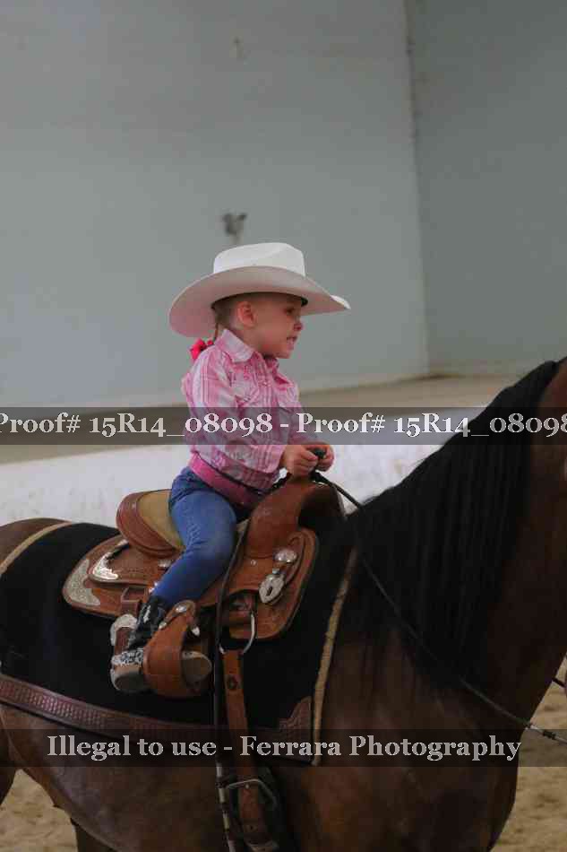 Proof Number 15R14_08098