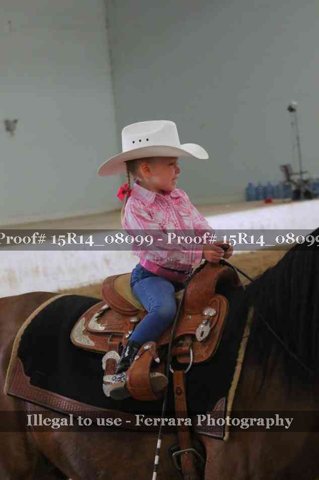 Proof Number 15R14_08099
