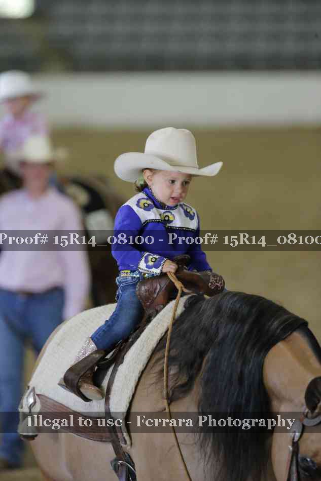 Proof Number 15R14_08100