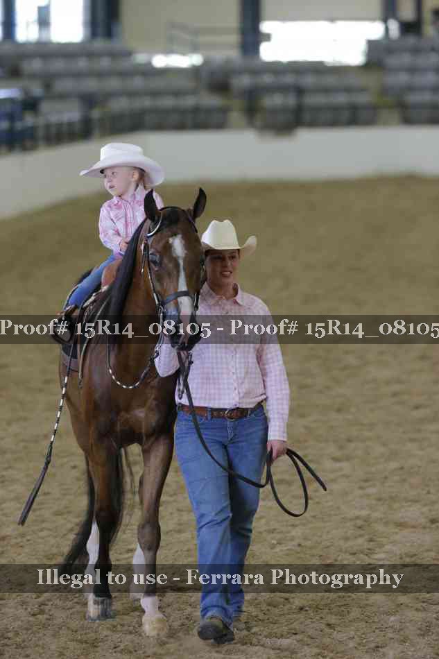Proof Number 15R14_08105