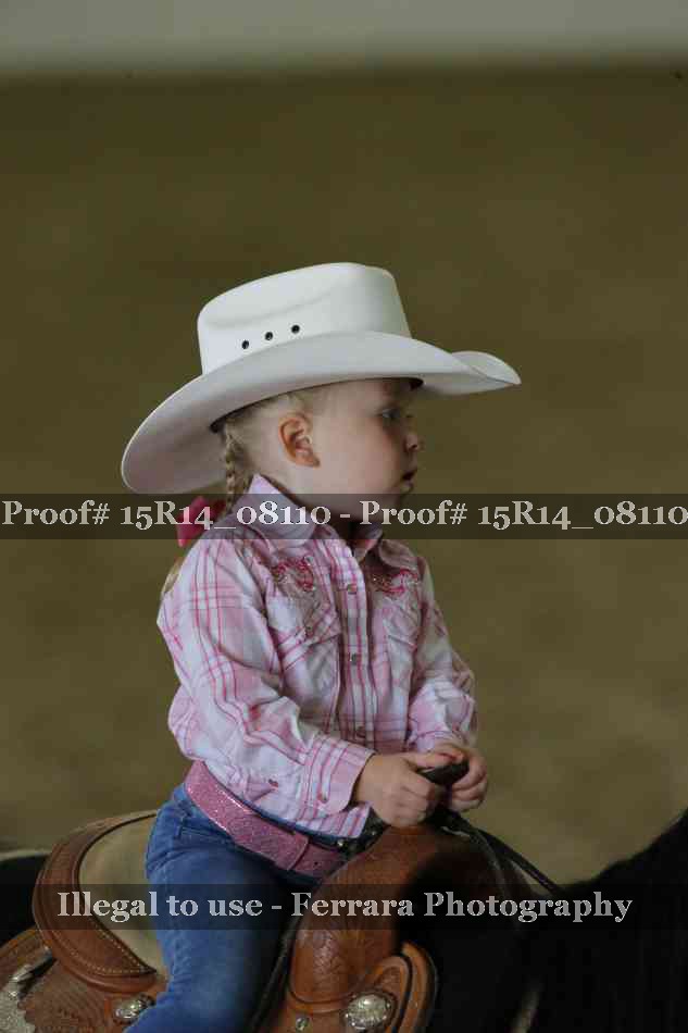 Proof Number 15R14_08110