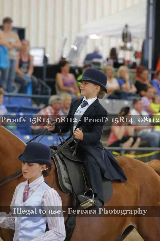 Proof Number 15R14_08112