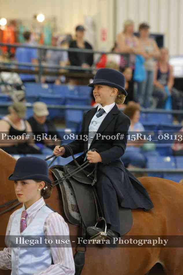 Proof Number 15R14_08113