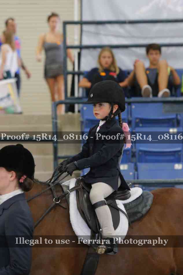 Proof Number 15R14_08116