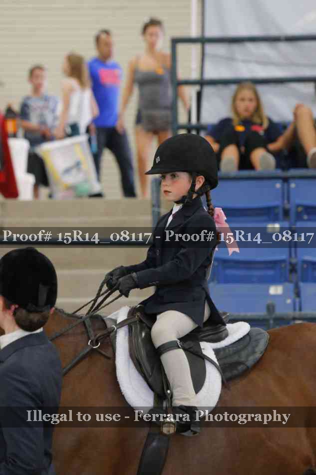 Proof Number 15R14_08117