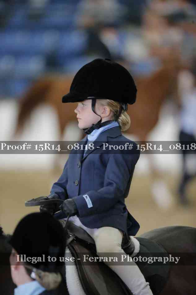 Proof Number 15R14_08118