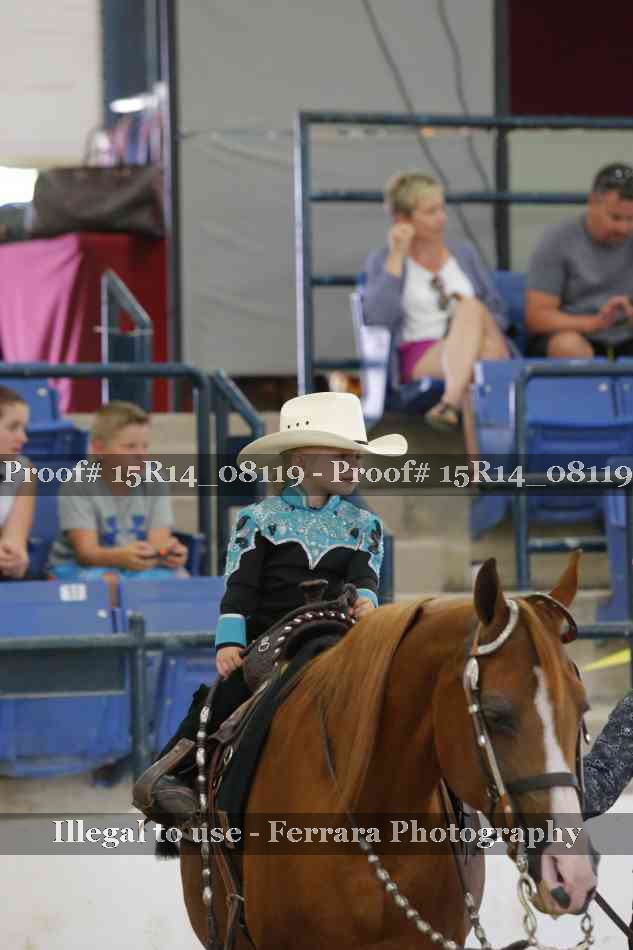 Proof Number 15R14_08119