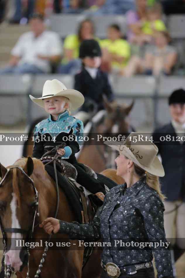 Proof Number 15R14_08120
