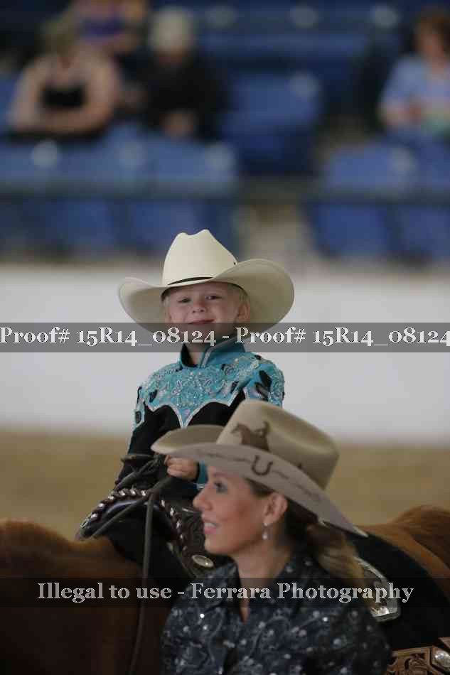Proof Number 15R14_08124