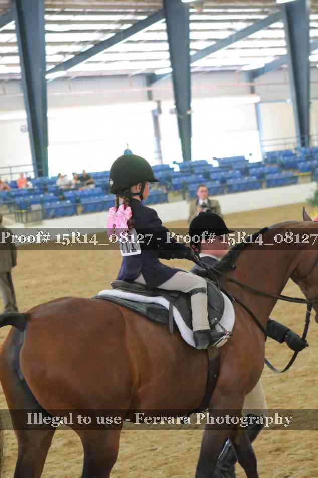 Proof Number 15R14_08127