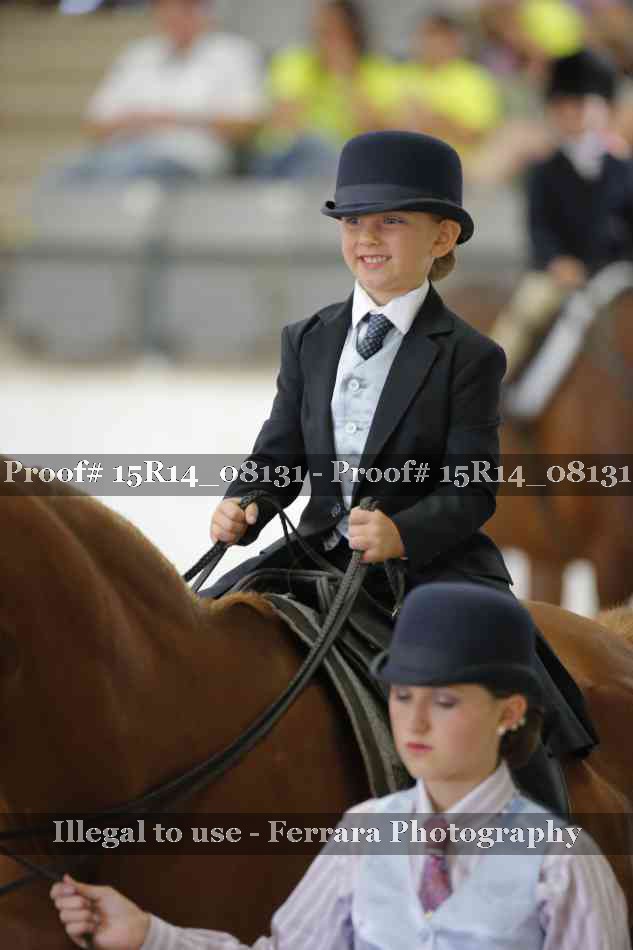 Proof Number 15R14_08131