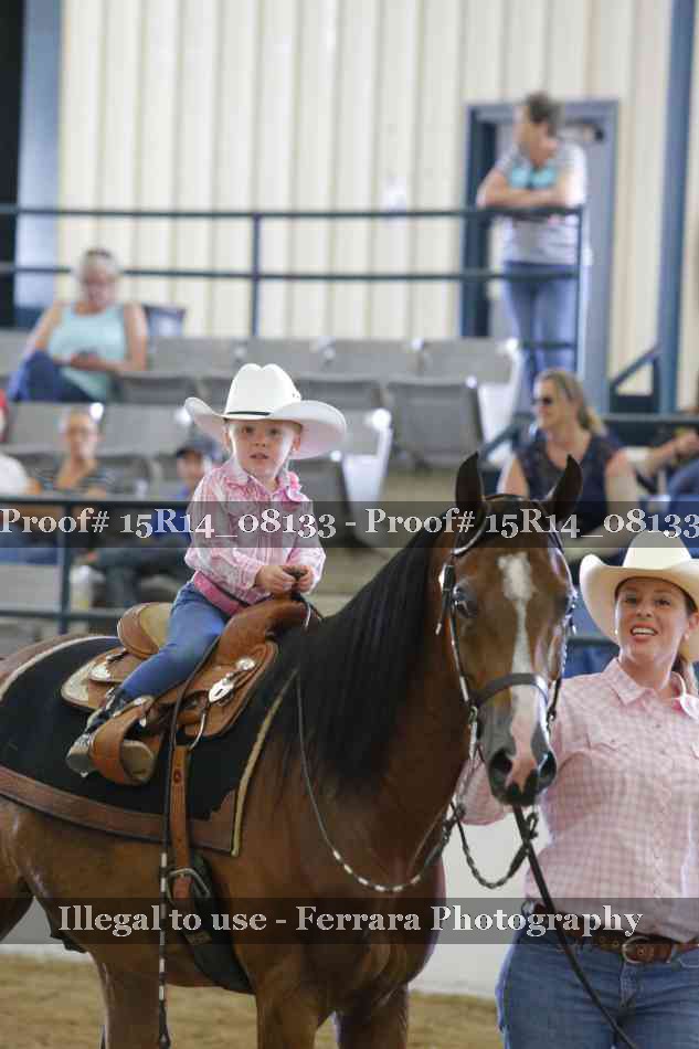 Proof Number 15R14_08133
