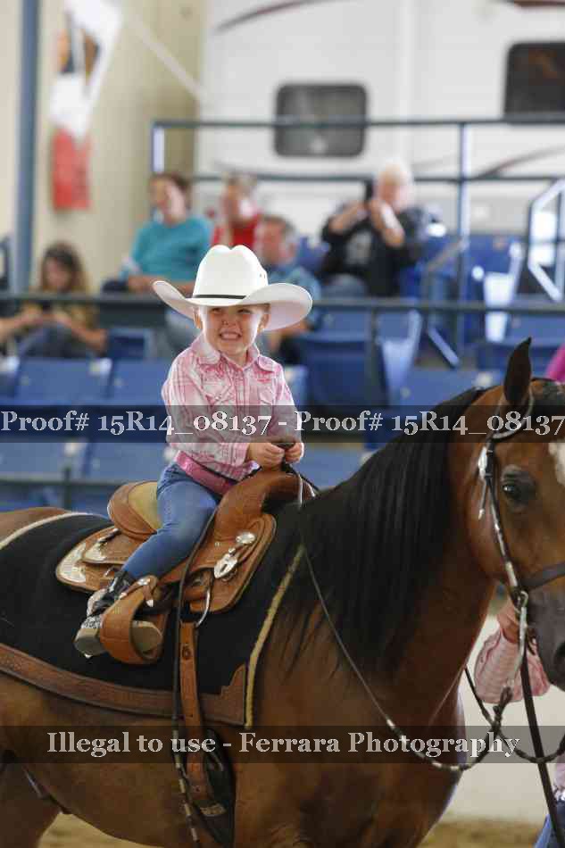 Proof Number 15R14_08137