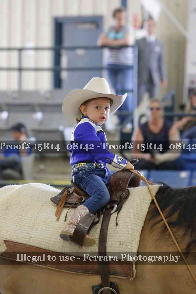 Proof Number 15R14_08142