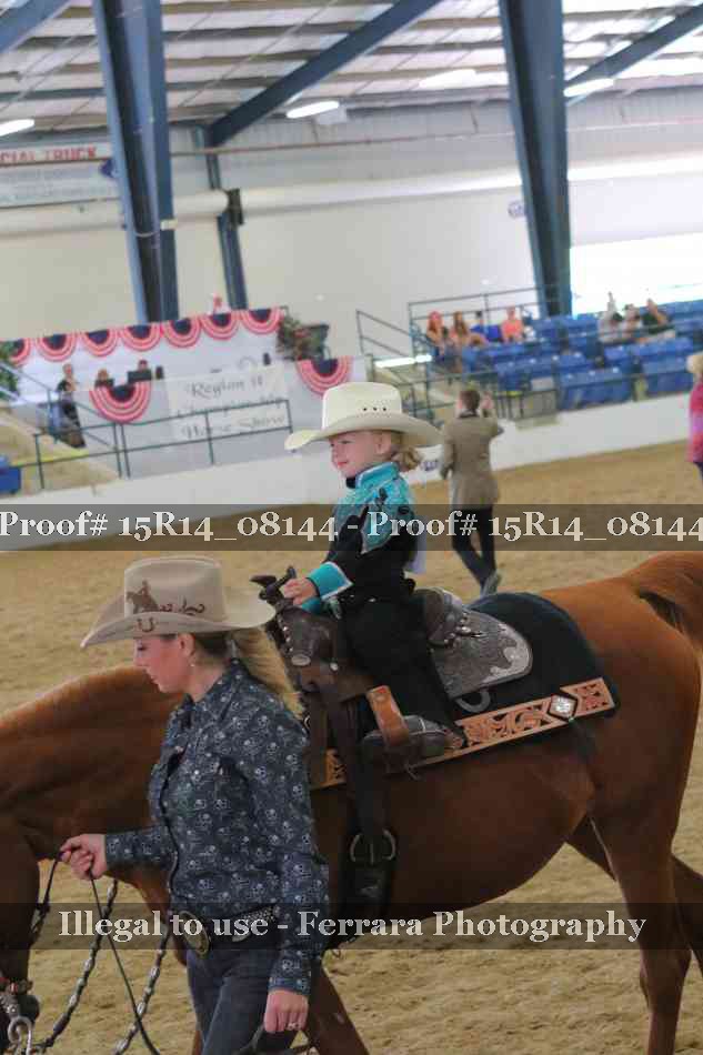 Proof Number 15R14_08144