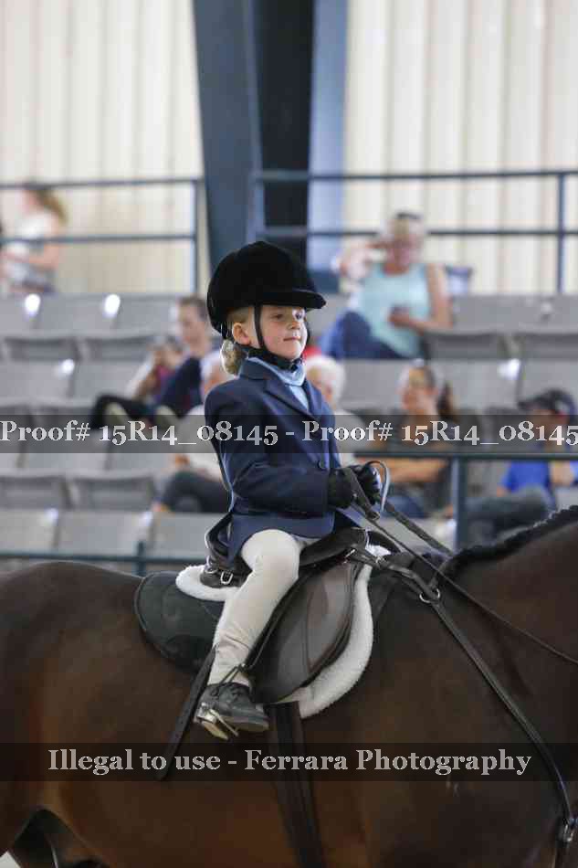 Proof Number 15R14_08145