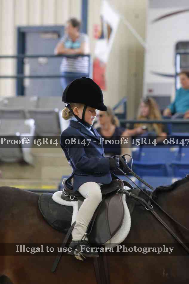 Proof Number 15R14_08147
