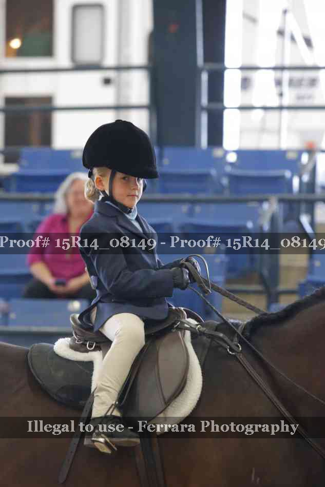 Proof Number 15R14_08149