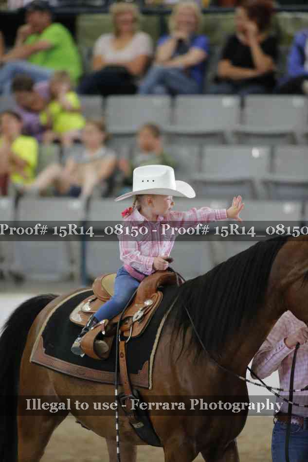 Proof Number 15R14_08150