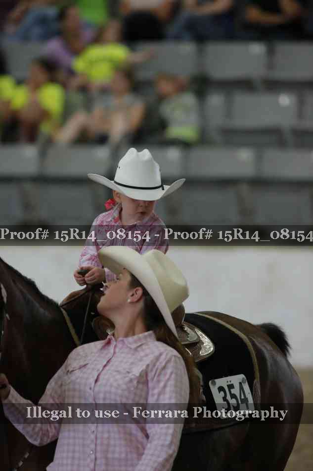 Proof Number 15R14_08154
