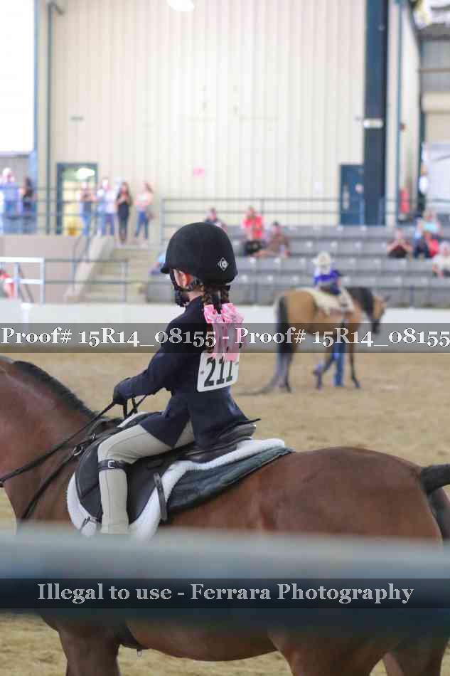 Proof Number 15R14_08155