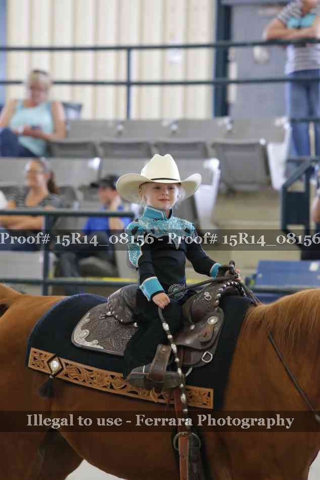Proof Number 15R14_08156