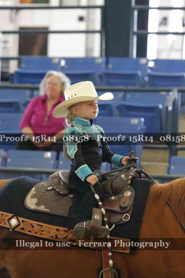 Proof Number 15R14_08158