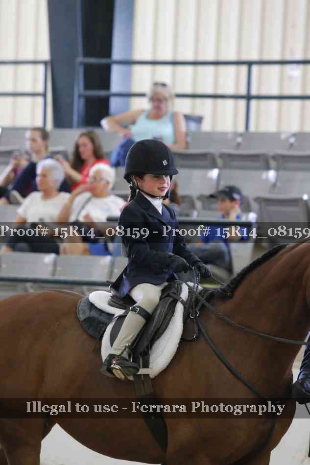Proof Number 15R14_08159