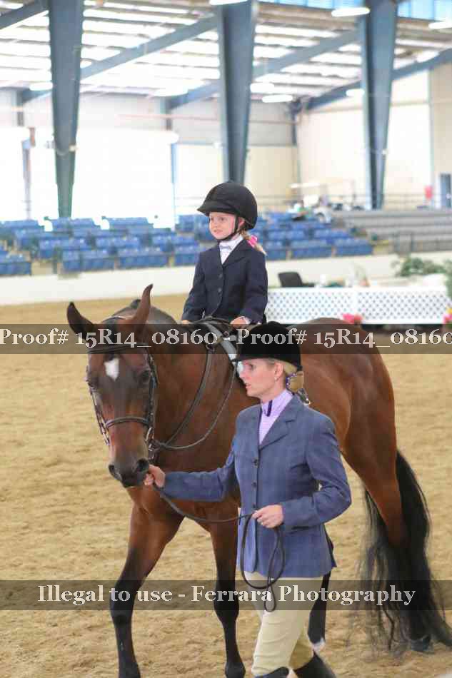 Proof Number 15R14_08160