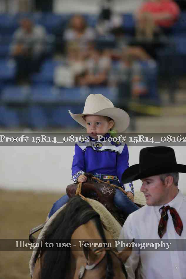 Proof Number 15R14_08162