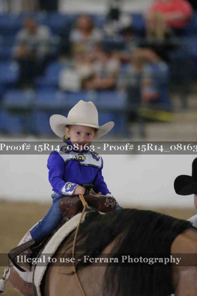 Proof Number 15R14_08163