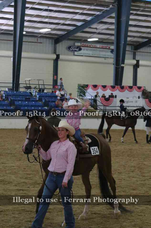 Proof Number 15R14_08166