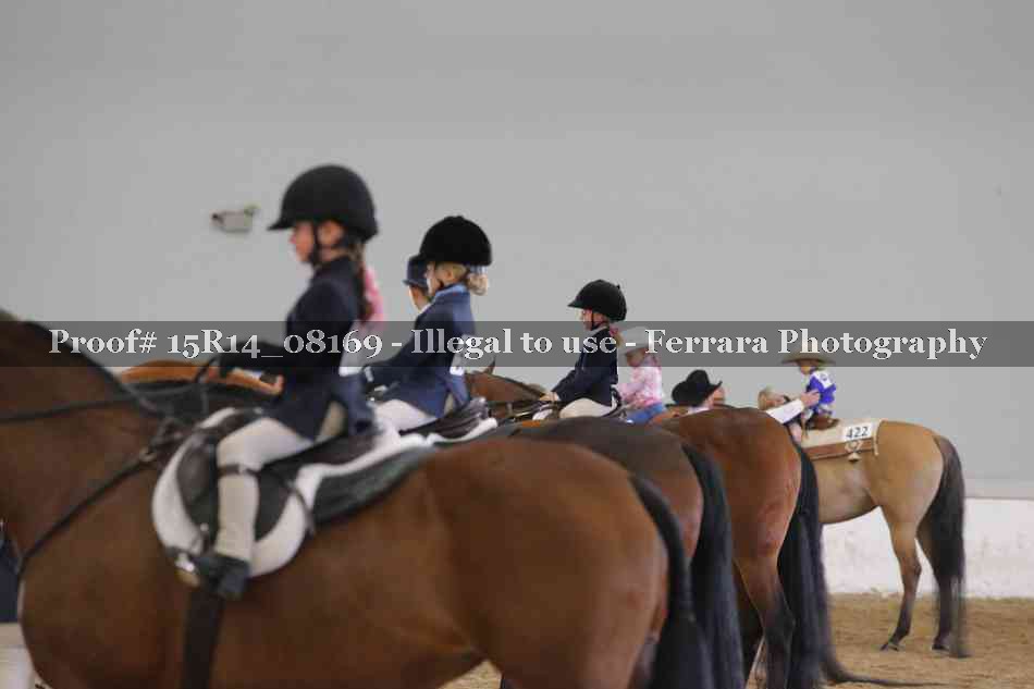 Proof Number 15R14_08169