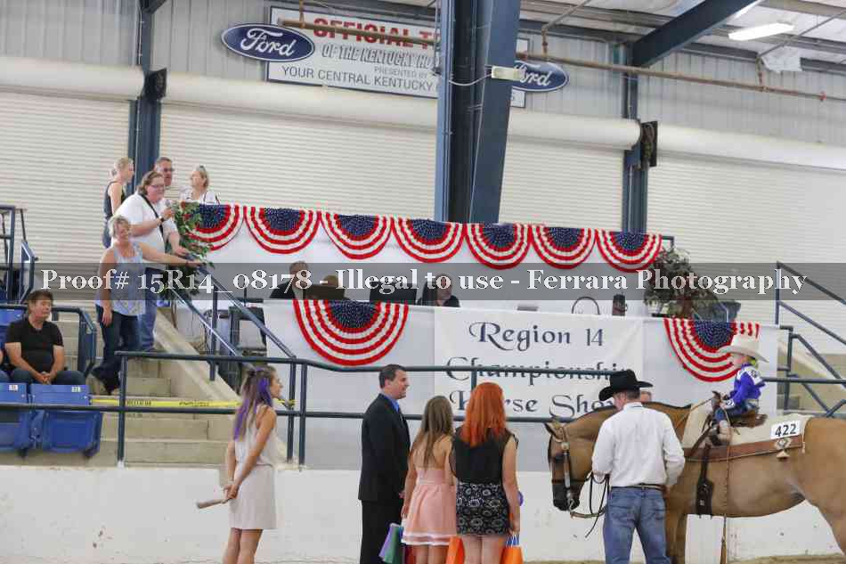 Proof Number 15R14_08178