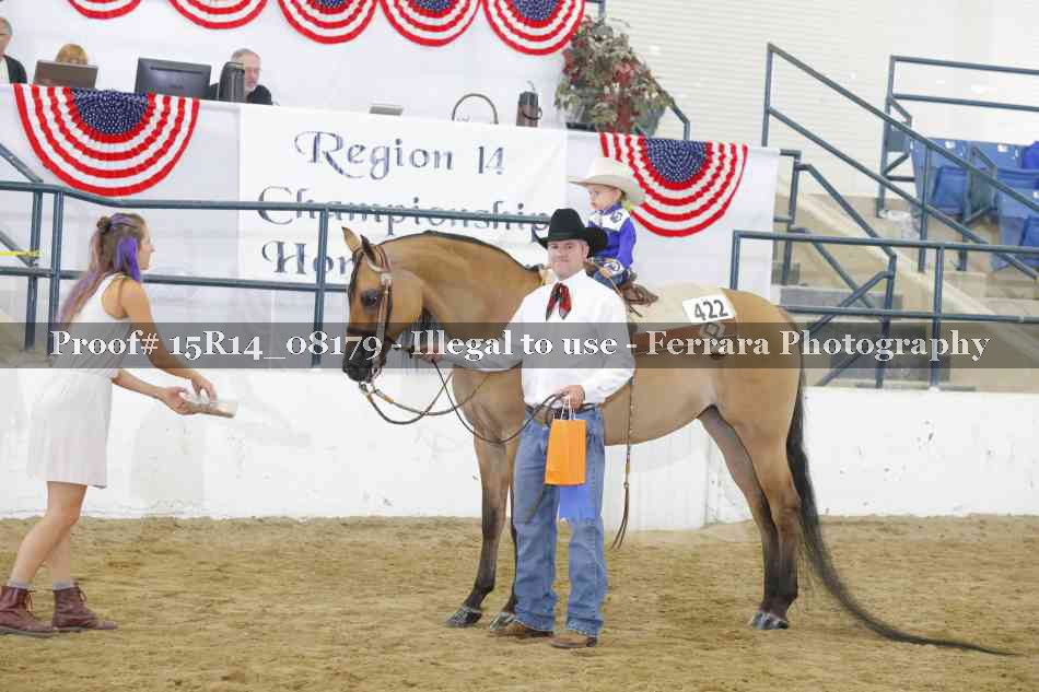 Proof Number 15R14_08179
