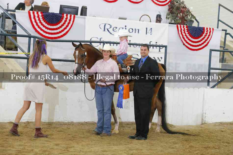 Proof Number 15R14_08188