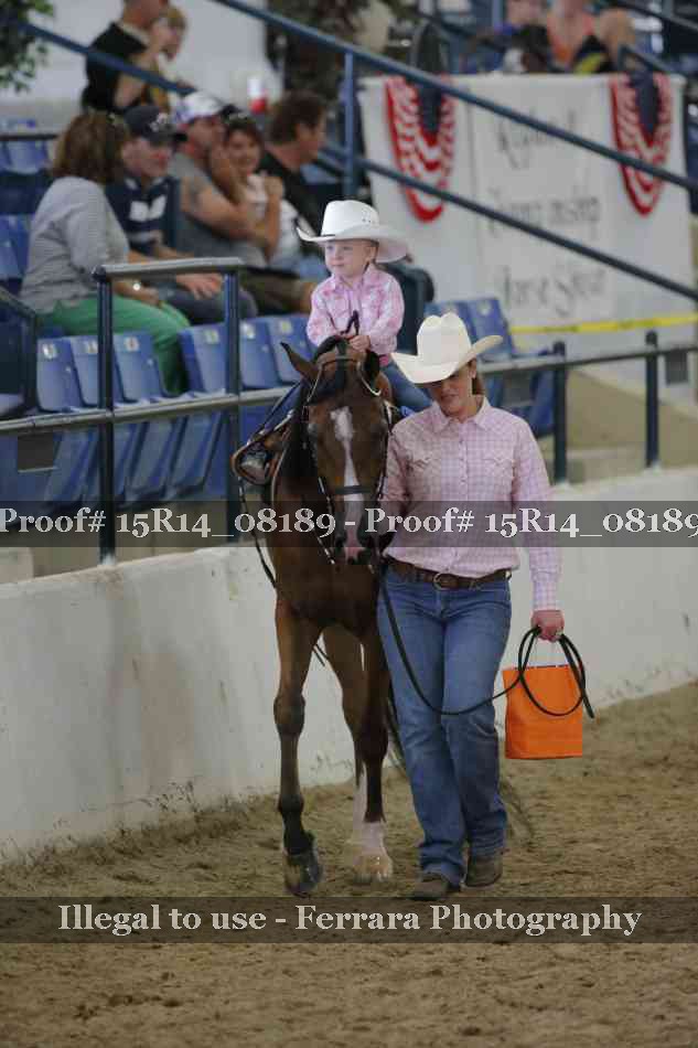 Proof Number 15R14_08189