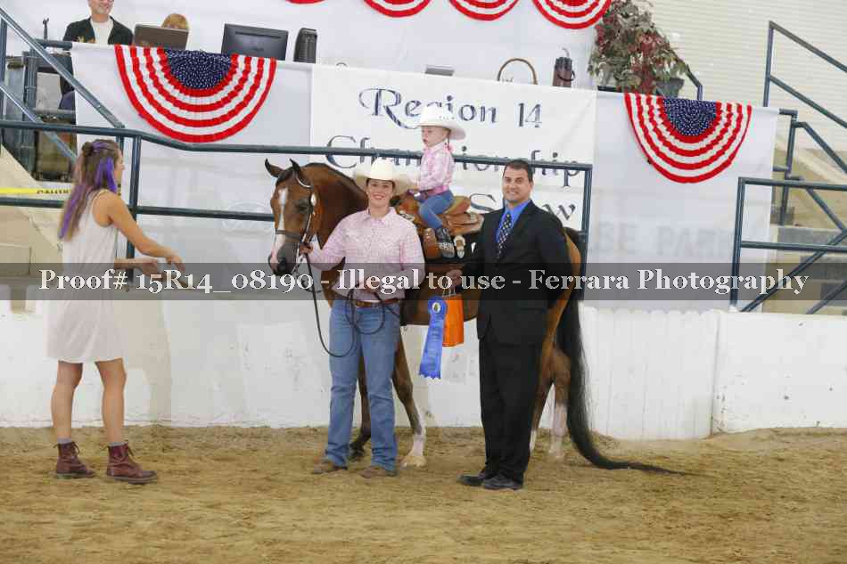 Proof Number 15R14_08190