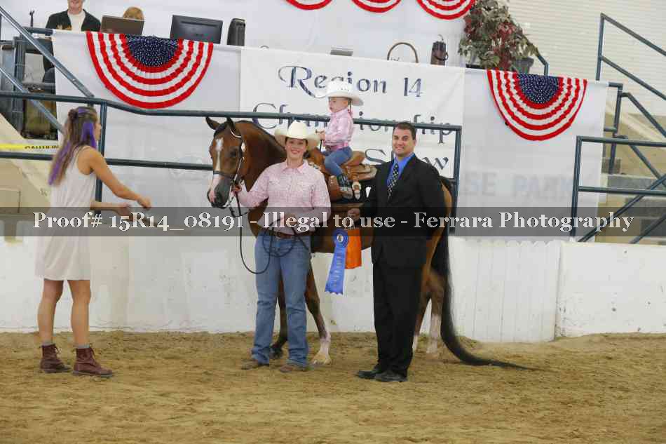 Proof Number 15R14_08191
