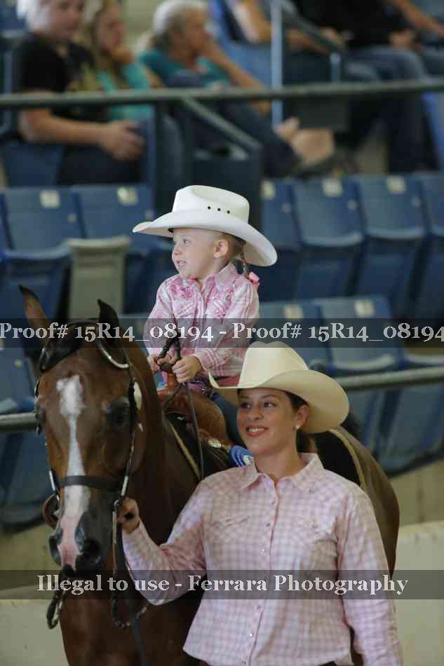 Proof Number 15R14_08194