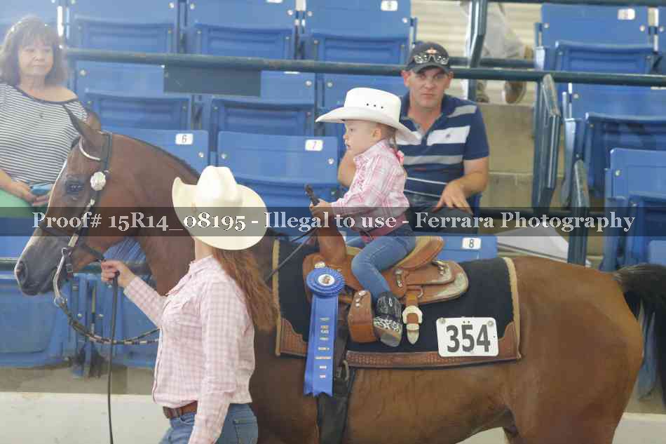 Proof Number 15R14_08195