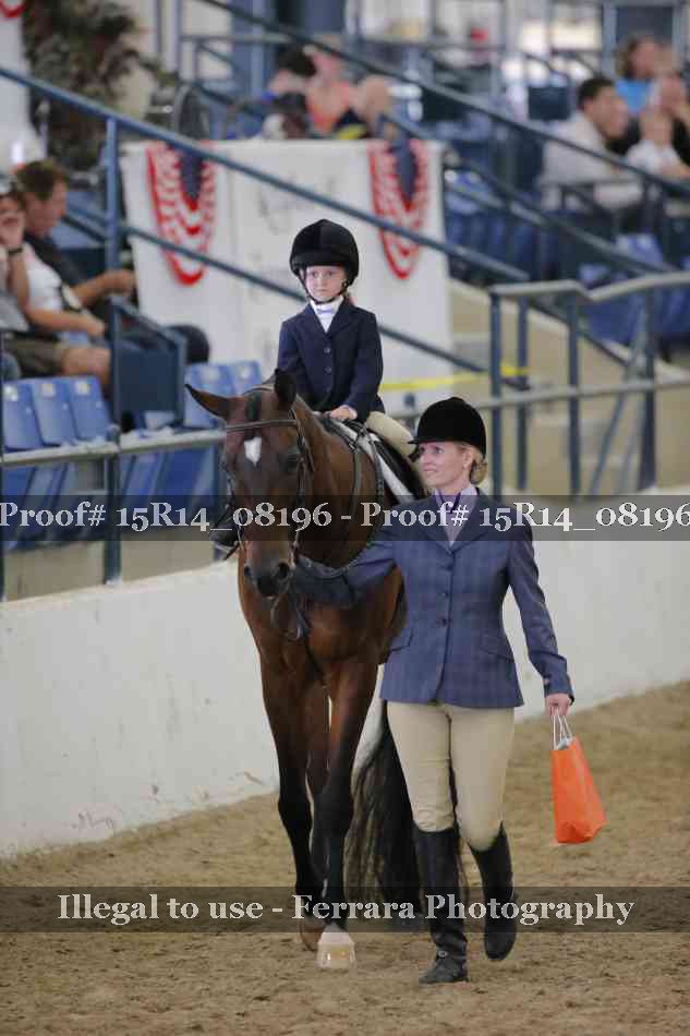 Proof Number 15R14_08196