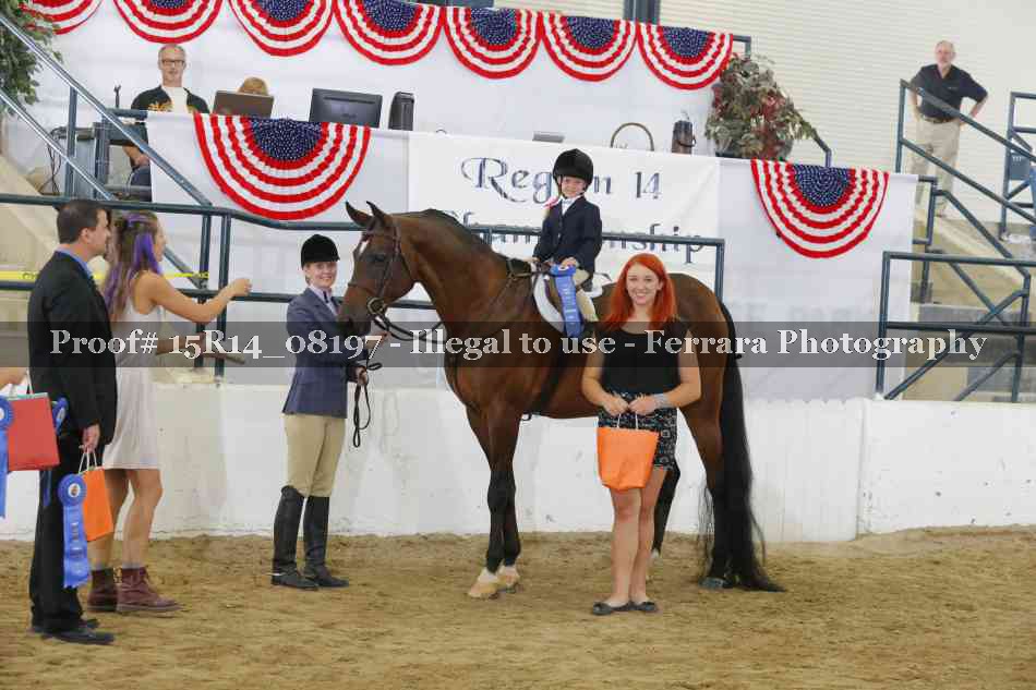 Proof Number 15R14_08197