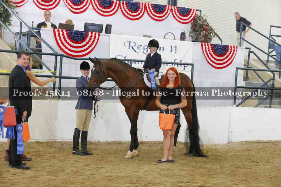 Proof Number 15R14_08198