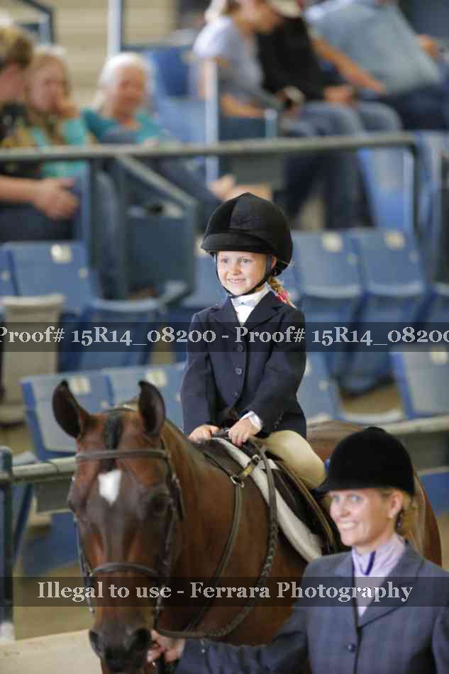 Proof Number 15R14_08200
