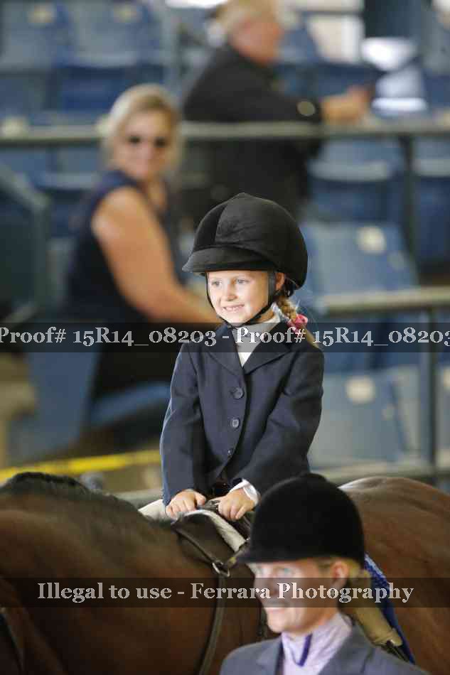 Proof Number 15R14_08203