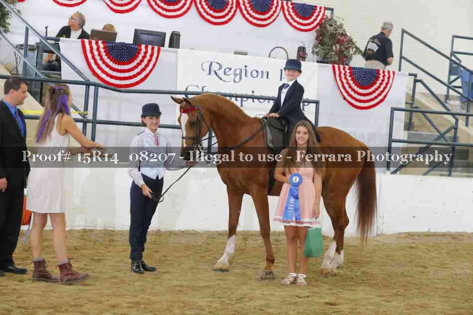 Proof Number 15R14_08207