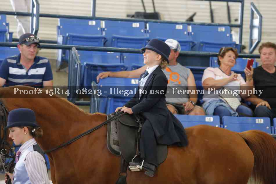 Proof Number 15R14_08213