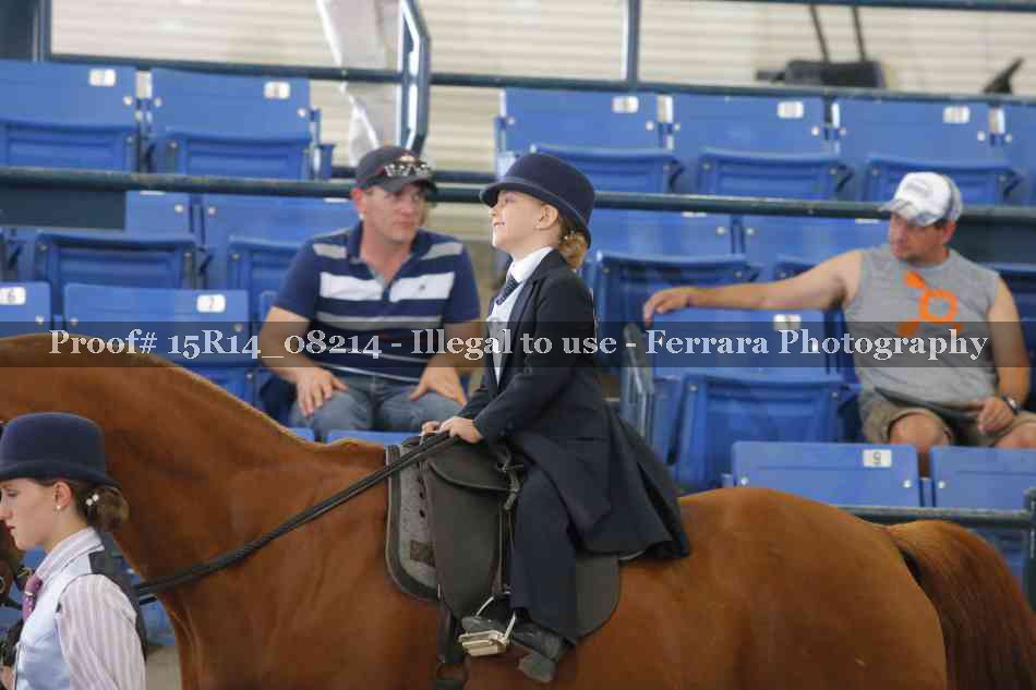 Proof Number 15R14_08214