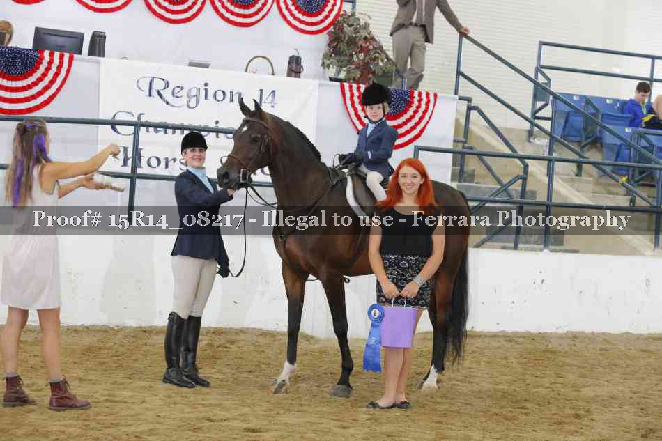 Proof Number 15R14_08217